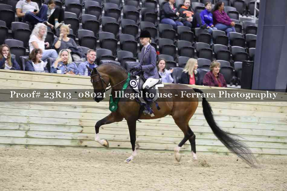 Proof 23R13_08021
