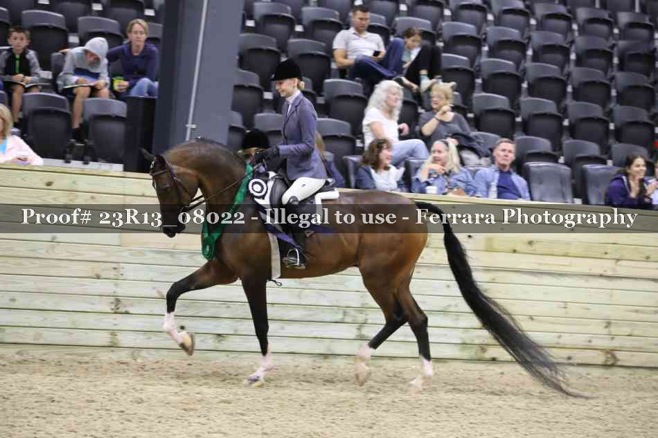 Proof 23R13_08022