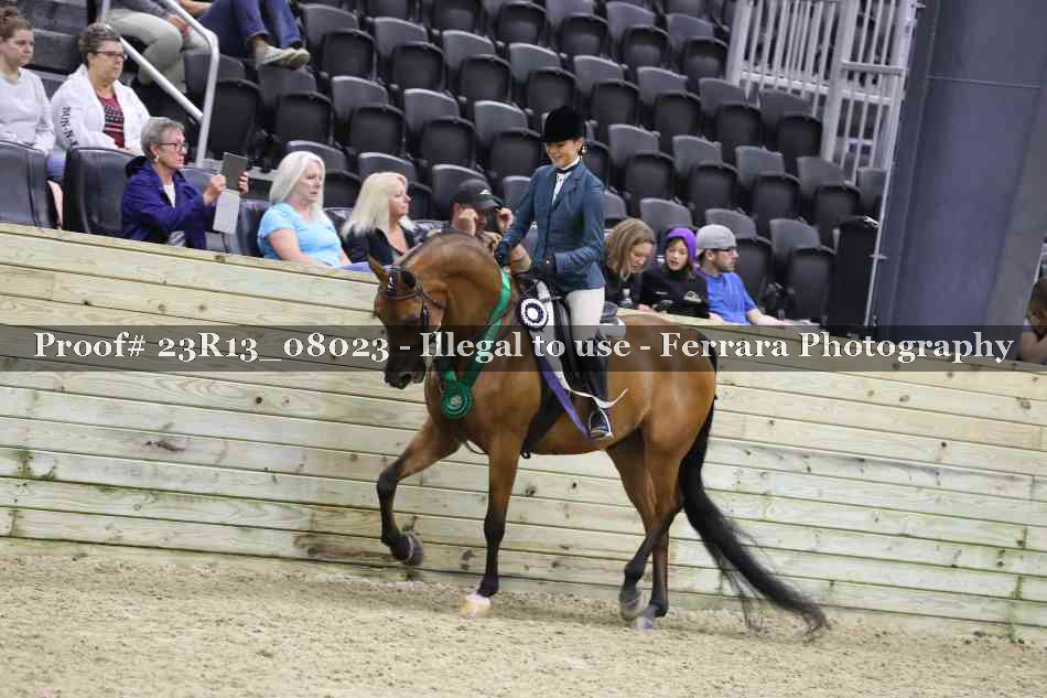 Proof 23R13_08023