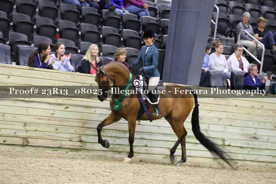 Proof 23R13_08025