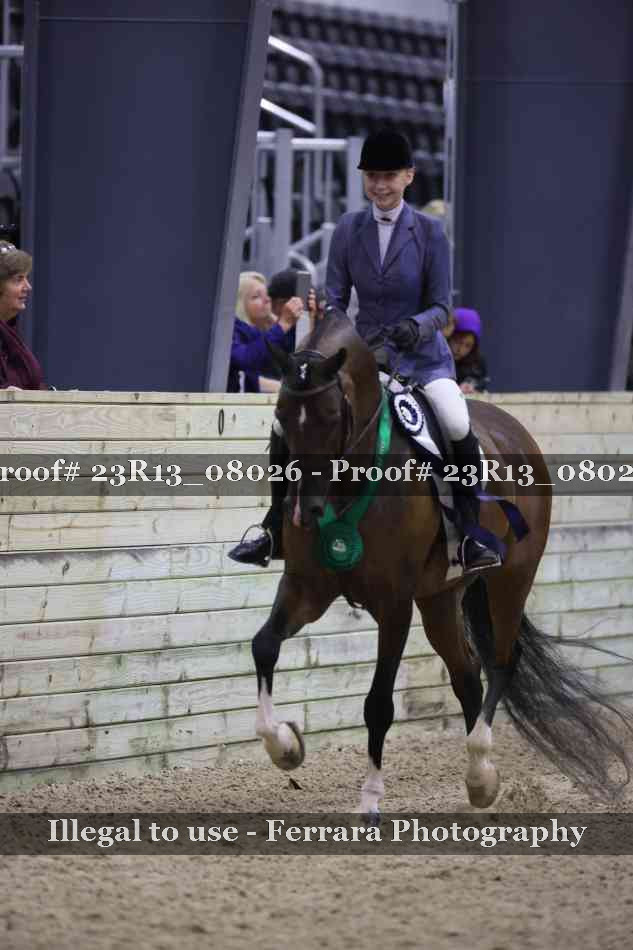 Proof 23R13_08026