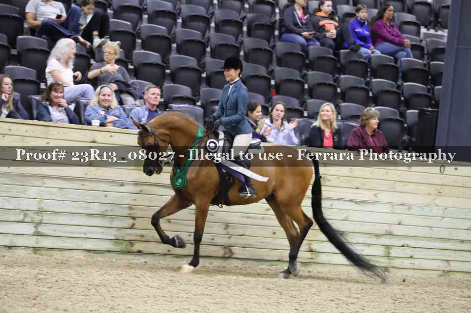 Proof 23R13_08027