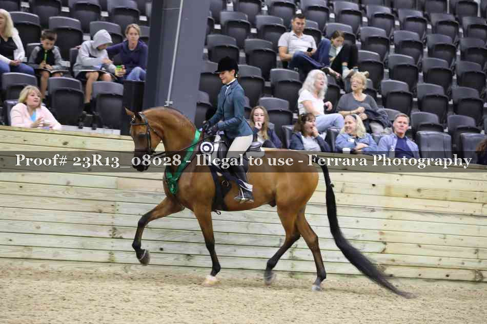 Proof 23R13_08028
