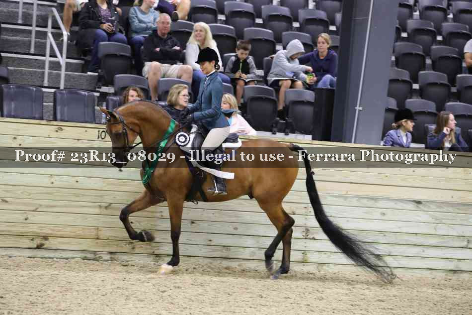 Proof 23R13_08029