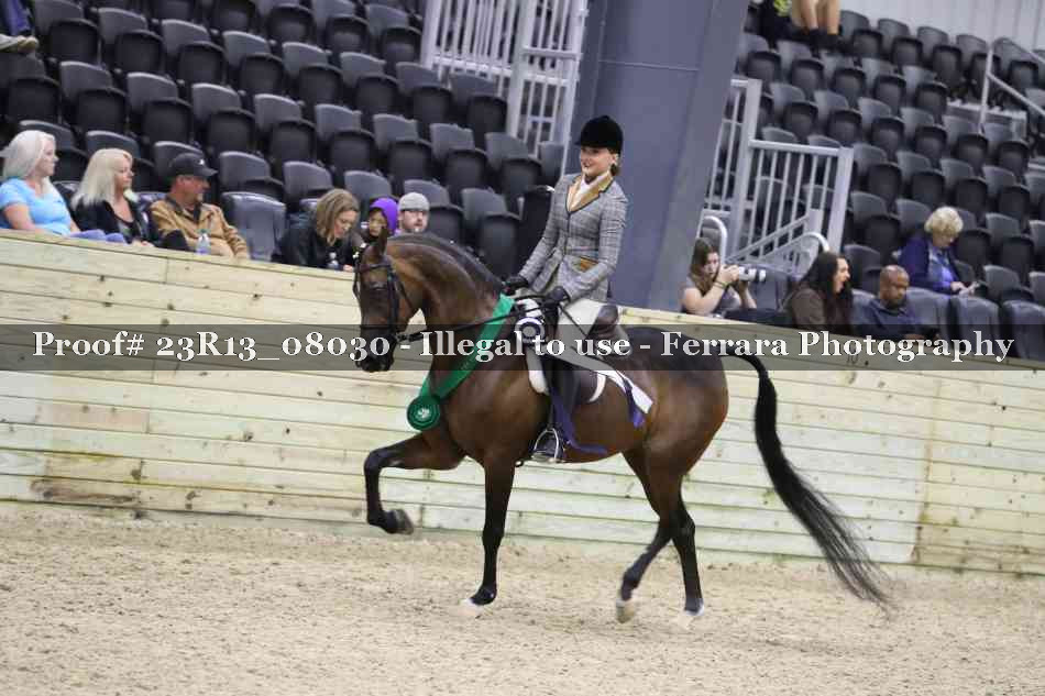 Proof 23R13_08030