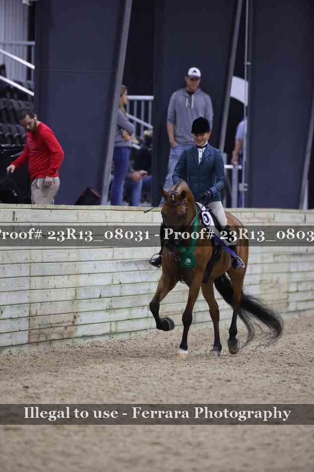 Proof 23R13_08031