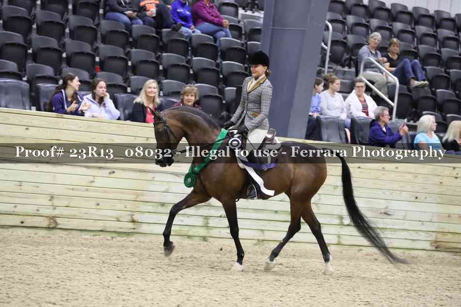 Proof 23R13_08032