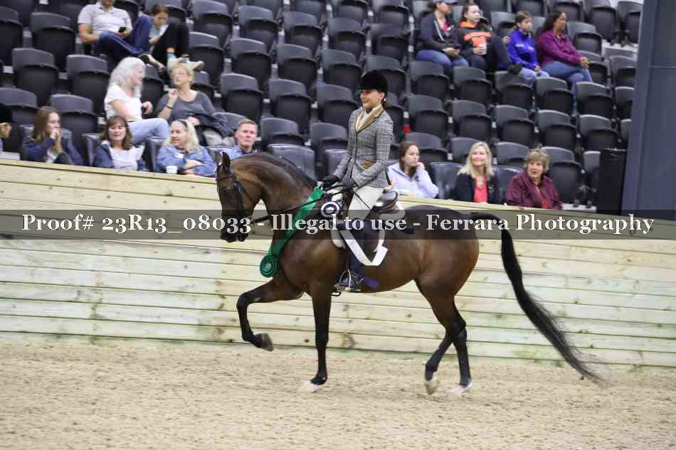Proof 23R13_08033