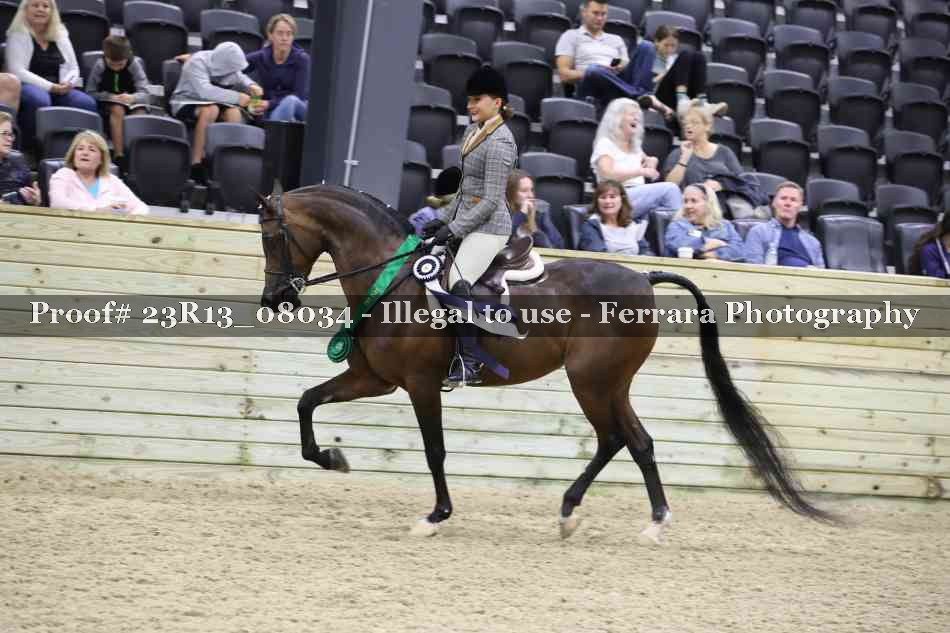 Proof 23R13_08034