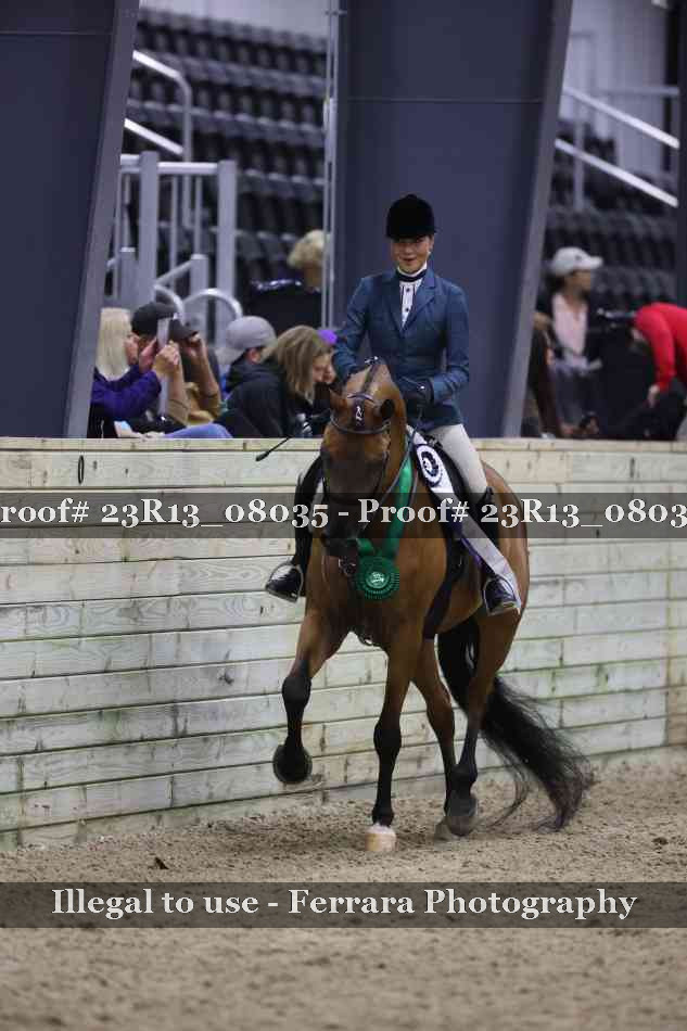 Proof 23R13_08035
