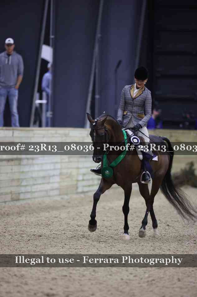 Proof 23R13_08036