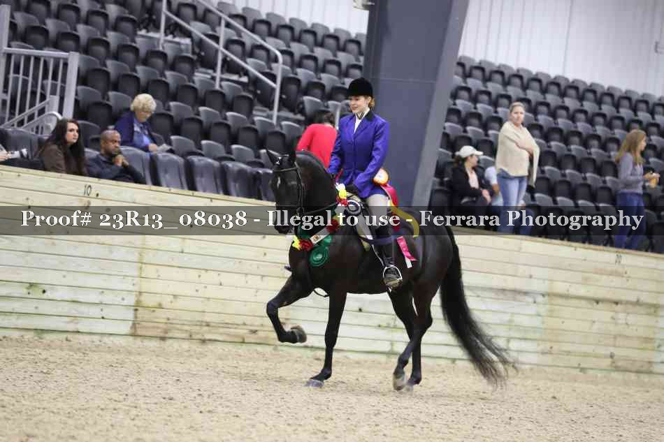 Proof 23R13_08038