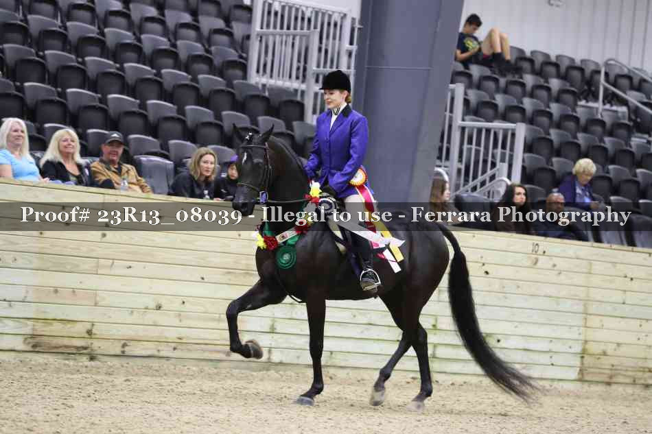 Proof 23R13_08039