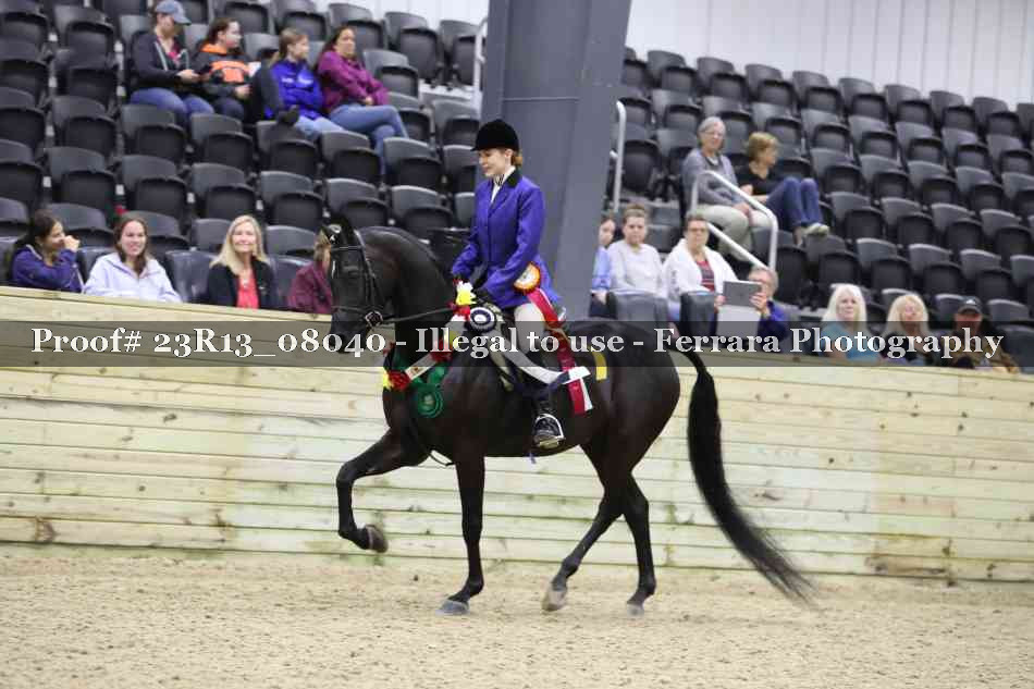 Proof 23R13_08040