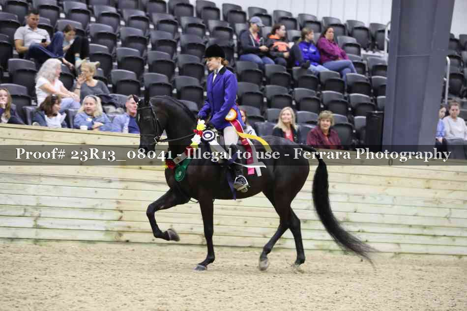 Proof 23R13_08041
