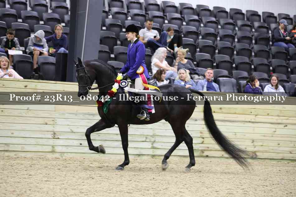 Proof 23R13_08042