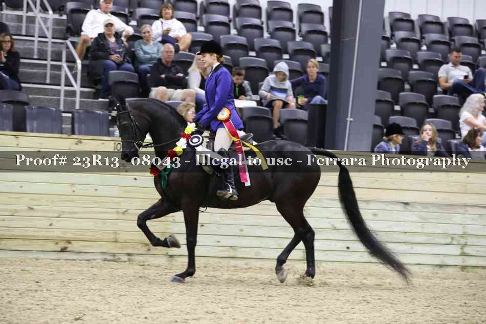Proof 23R13_08043