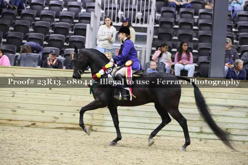 Proof 23R13_08044