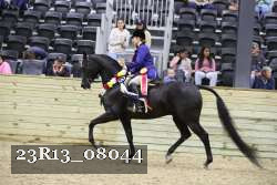 23R13_08044 proof