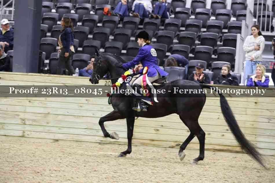 Proof 23R13_08045