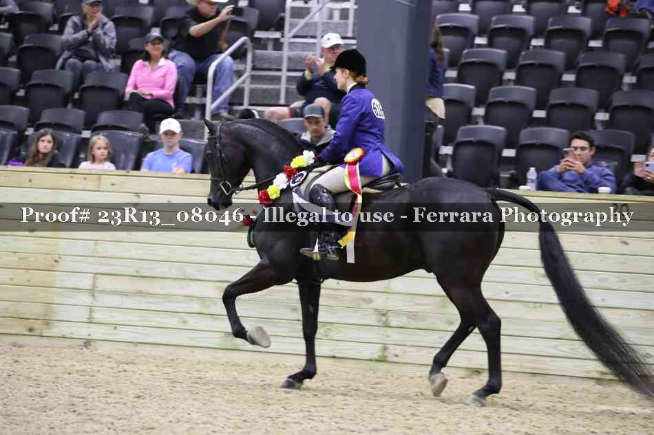 Proof 23R13_08046