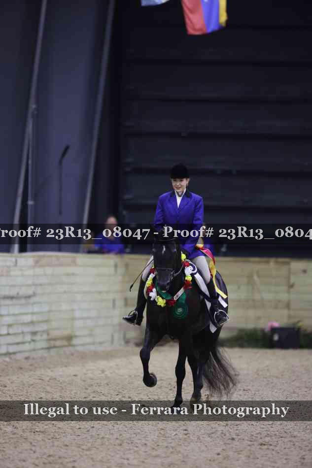 Proof 23R13_08047