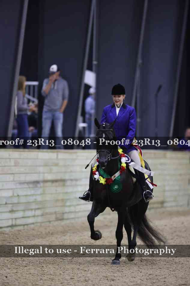 Proof 23R13_08048