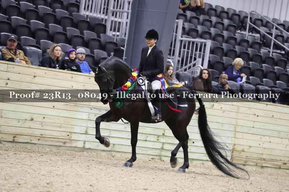 Proof 23R13_08049