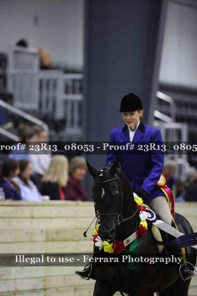 Proof 23R13_08053