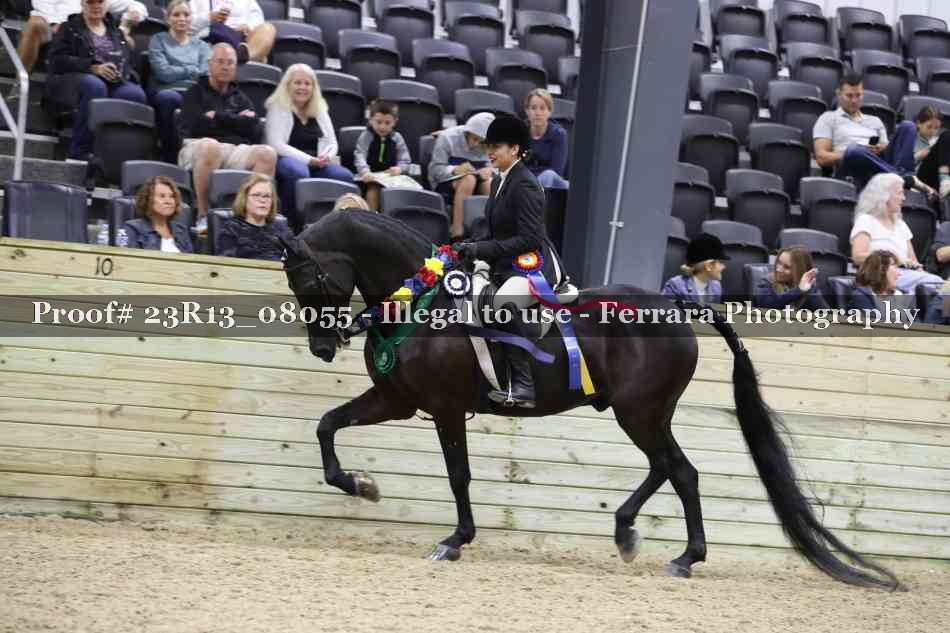 Proof 23R13_08055
