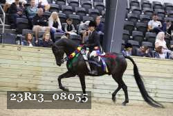 23R13_08055 proof