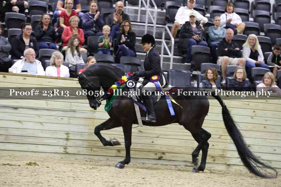 Proof 23R13_08056