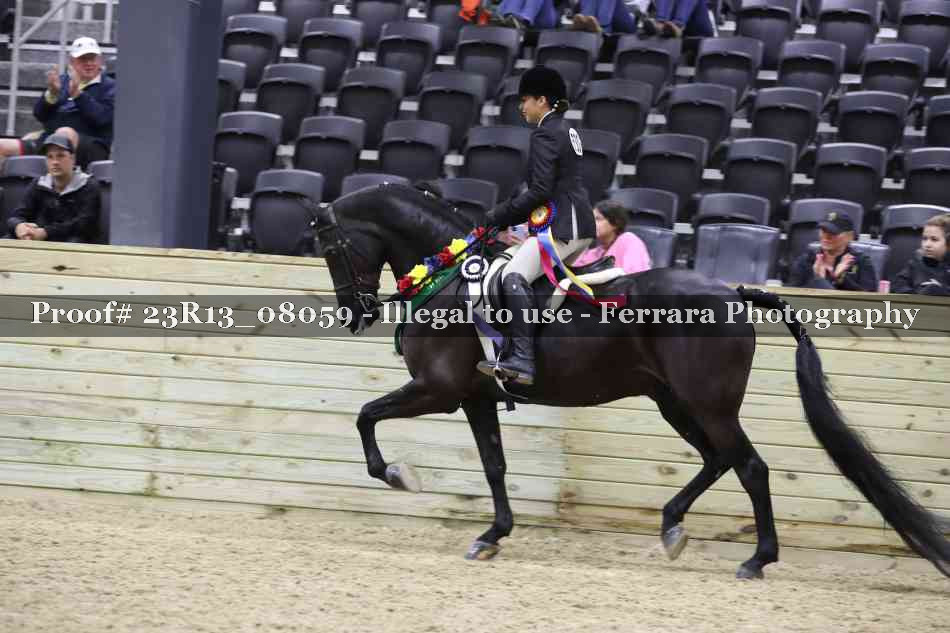 Proof 23R13_08059
