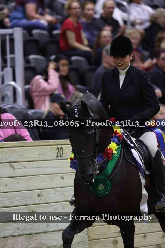 Proof 23R13_08065