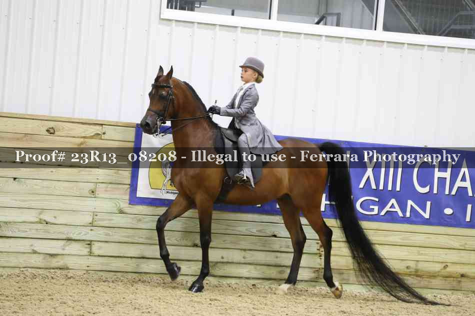 Proof 23R13_08208