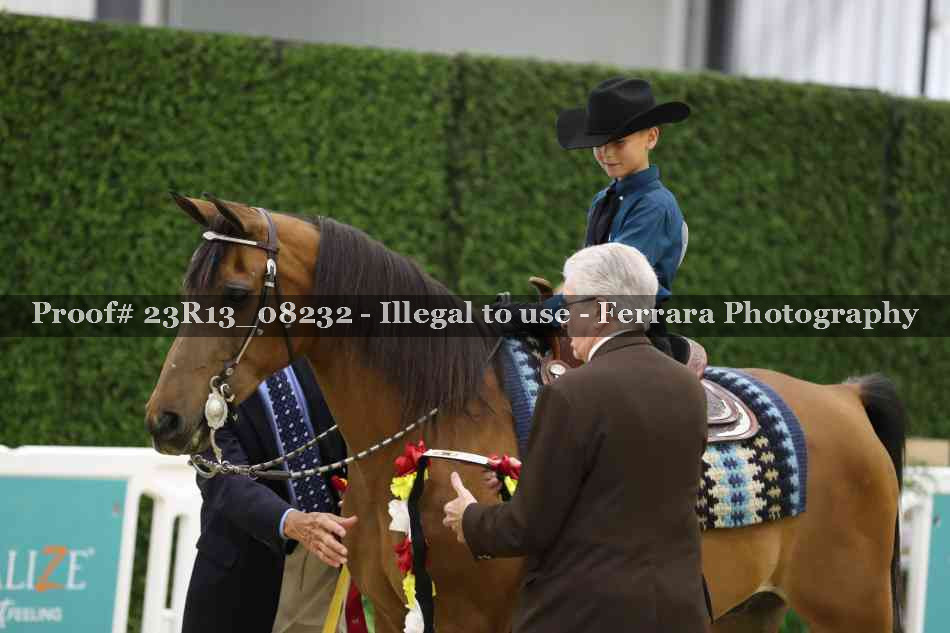 Proof 23R13_08232