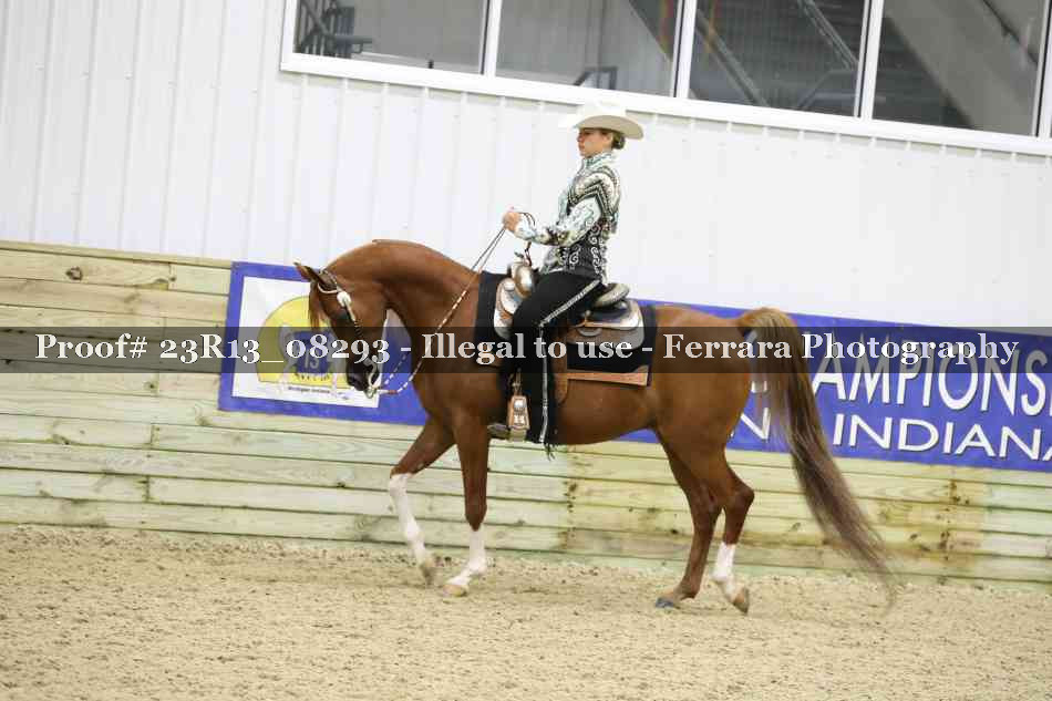 Proof 23R13_08293