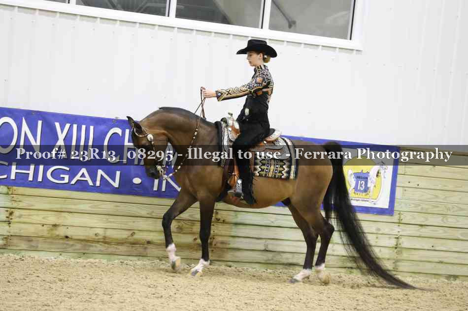 Proof 23R13_08295