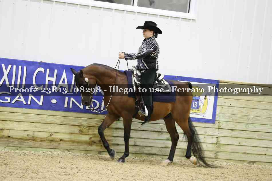 Proof 23R13_08298