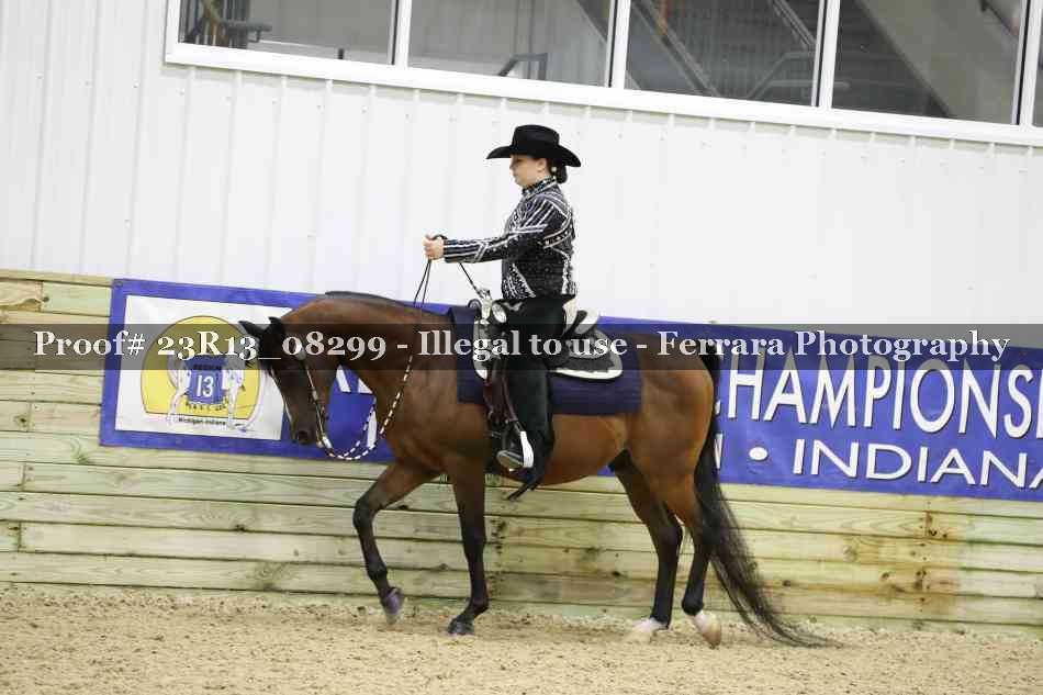 Proof 23R13_08299