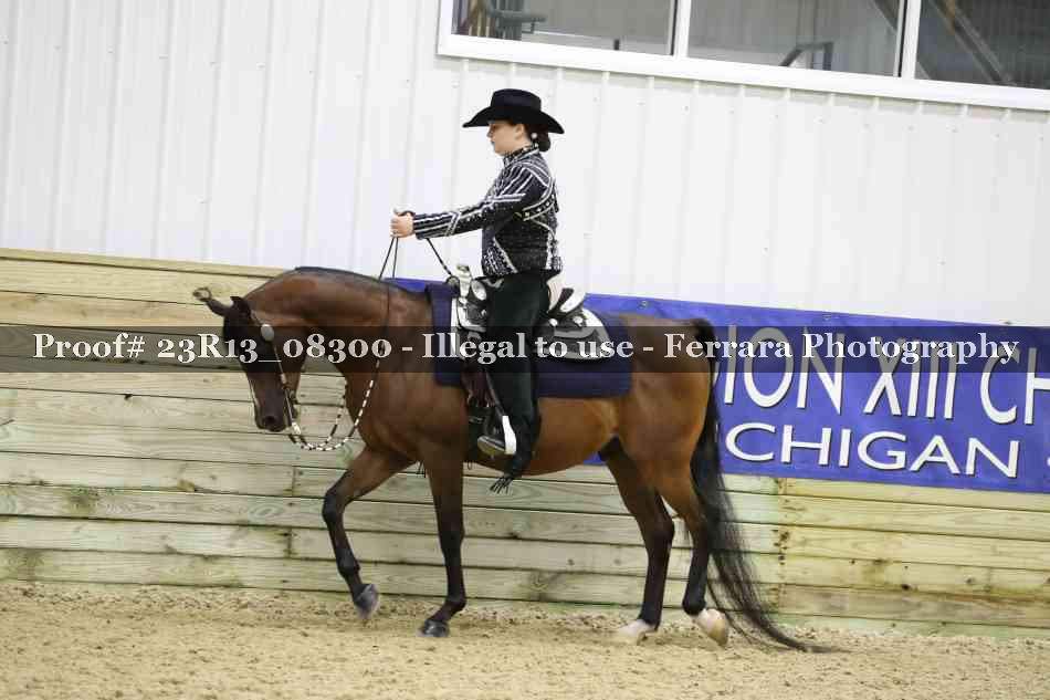 Proof 23R13_08300