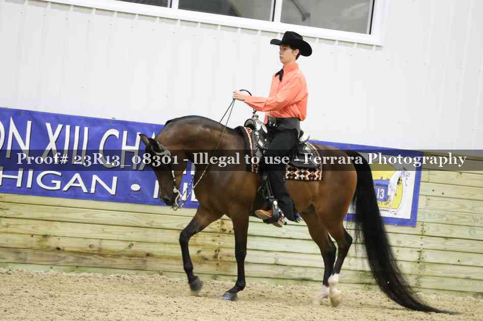 Proof 23R13_08301