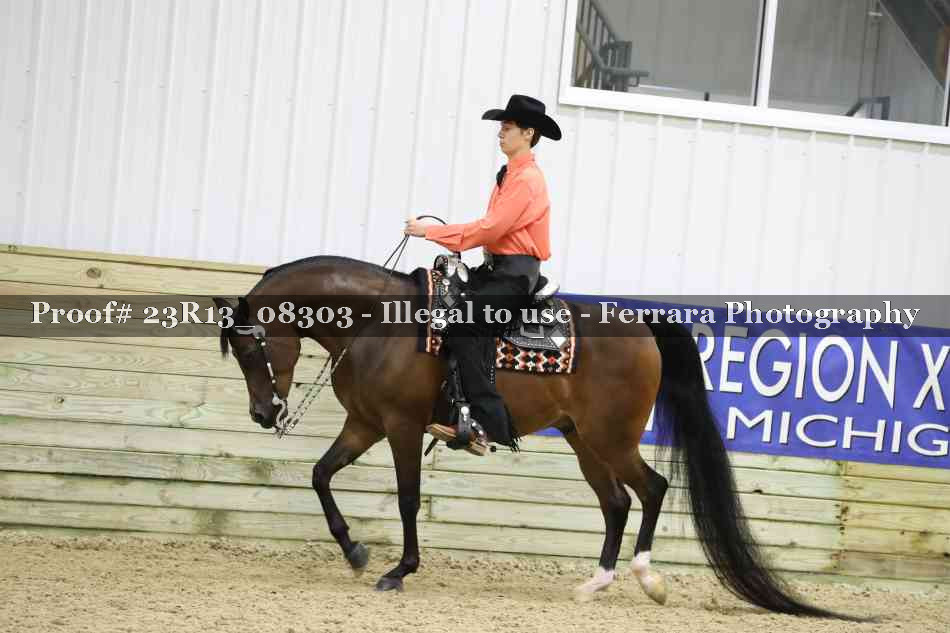 Proof 23R13_08303