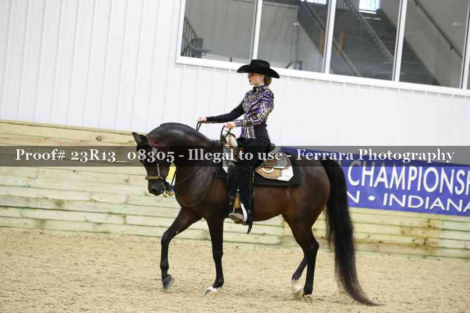 Proof 23R13_08305