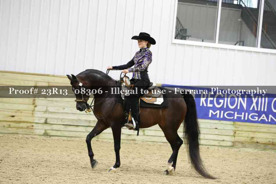 Proof 23R13_08306