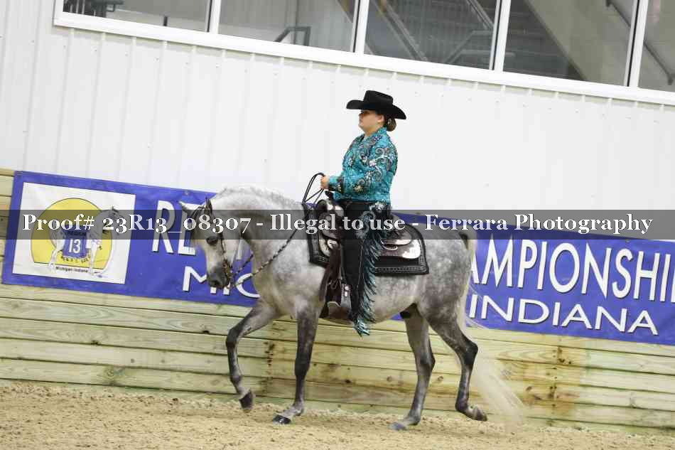 Proof 23R13_08307