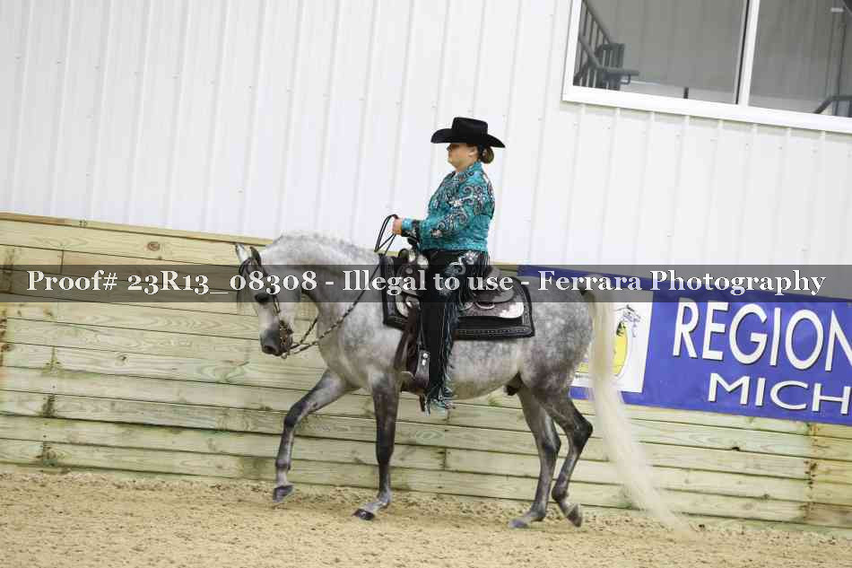 Proof 23R13_08308
