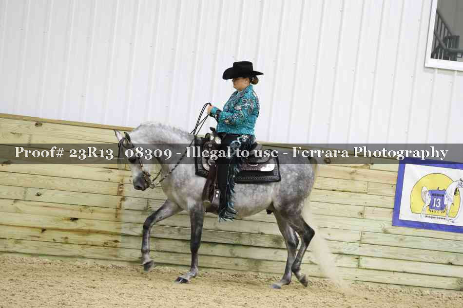 Proof 23R13_08309