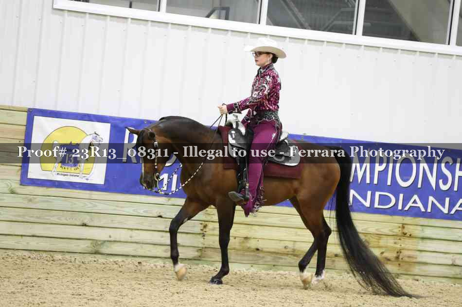 Proof 23R13_08311