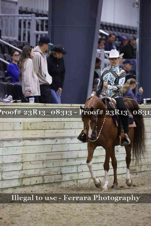 Proof 23R13_08313
